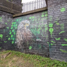 Mural of a Kestrel